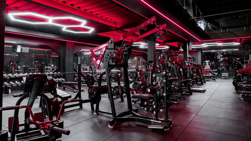 Cuts & Curves gym floor